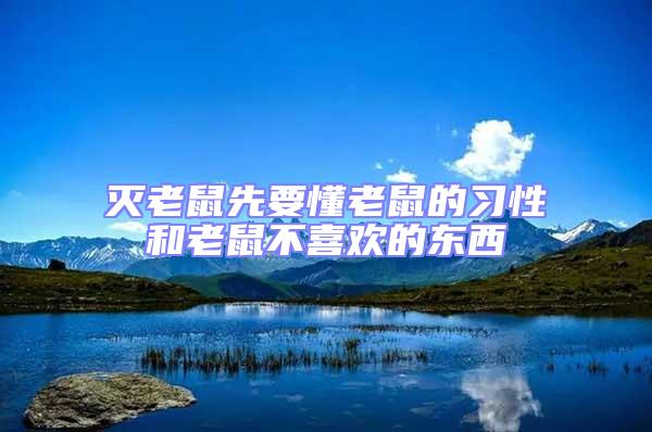 滅老鼠先要懂老鼠的習性和老鼠不喜歡的東西