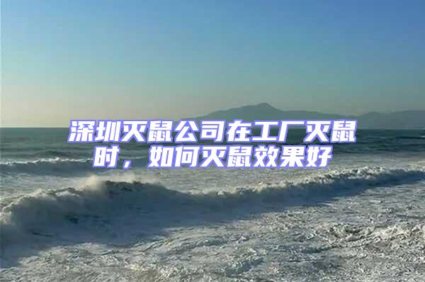 深圳滅鼠公司在工廠滅鼠時(shí)，如何滅鼠效果好