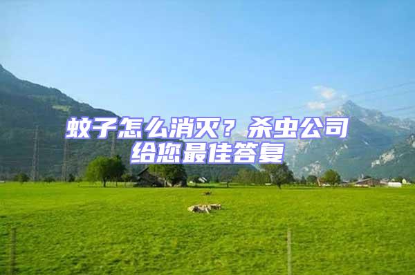 蚊子怎么消滅？殺蟲公司給您最佳答復(fù)