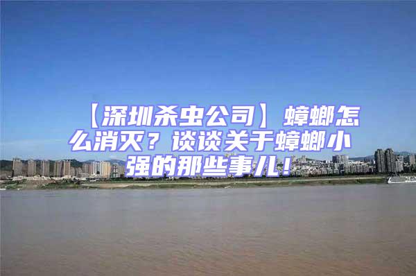 【深圳殺蟲公司】蟑螂怎么消滅？談?wù)勱P(guān)于蟑螂小強的那些事兒！