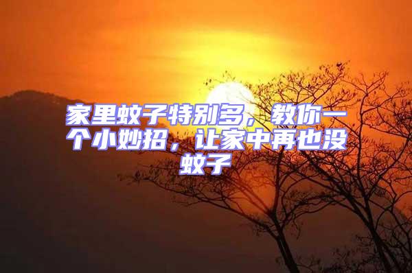 家里蚊子特別多，教你一個(gè)小妙招，讓家中再也沒蚊子