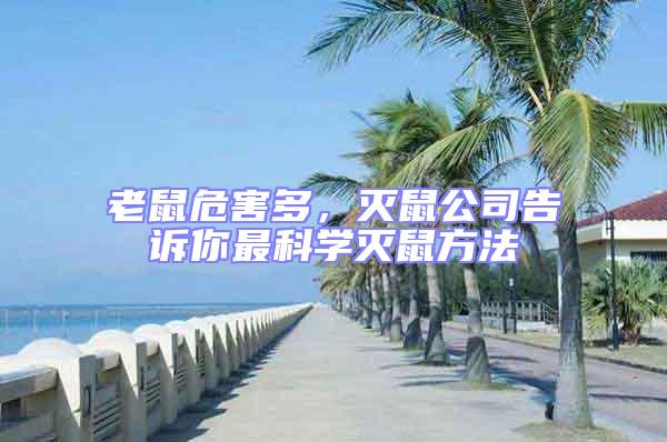 老鼠危害多，滅鼠公司告訴你最科學(xué)滅鼠方法