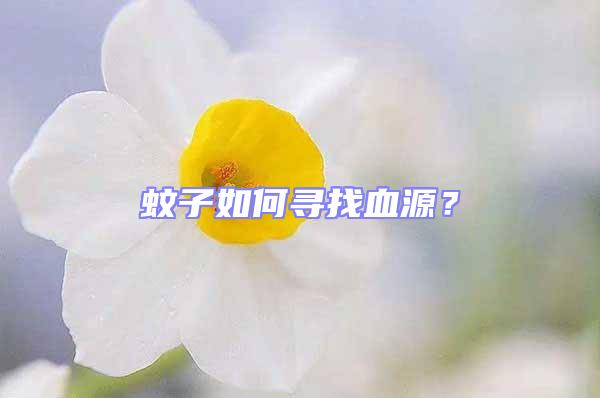 蚊子如何尋找血源？