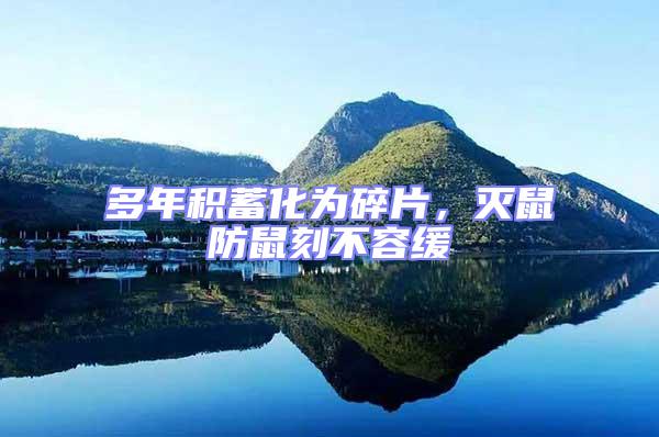 多年積蓄化為碎片，滅鼠防鼠刻不容緩