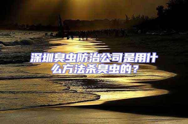 深圳臭蟲防治公司是用什么方法殺臭蟲的？
