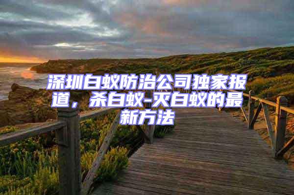 深圳白蟻防治公司獨(dú)家報(bào)道，殺白蟻-滅白蟻的最新方法