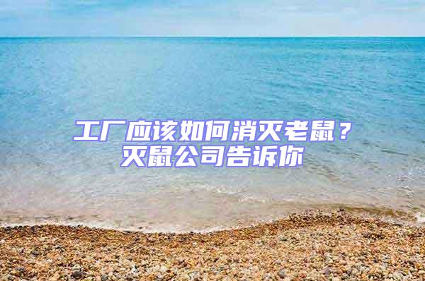 工廠應(yīng)該如何消滅老鼠？滅鼠公司告訴你