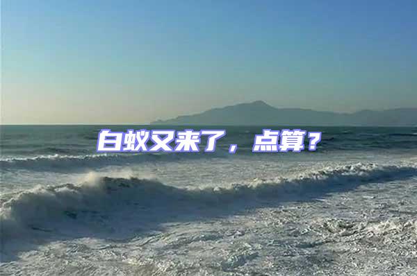 白蟻又來了，點(diǎn)算？