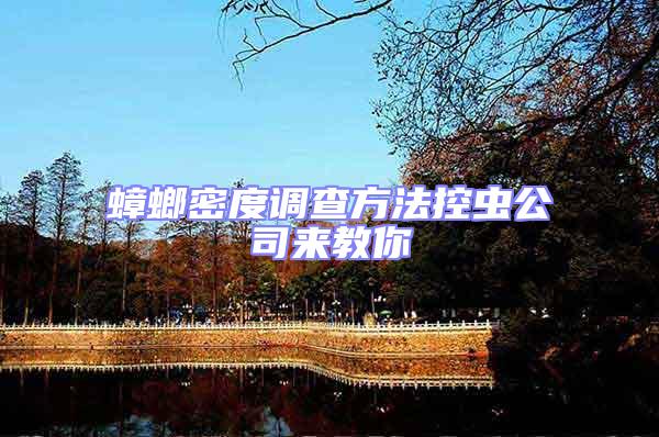 蟑螂密度調(diào)查方法控蟲公司來教你