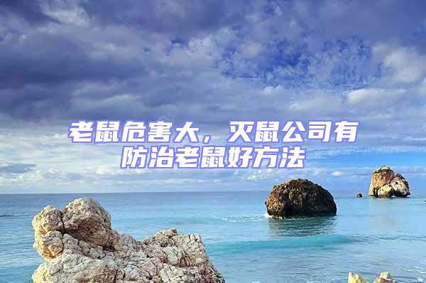 老鼠危害大，滅鼠公司有防治老鼠好方法