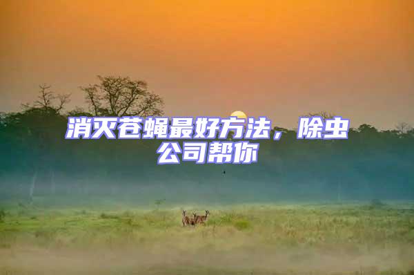 消滅蒼蠅最好方法，除蟲(chóng)公司幫你