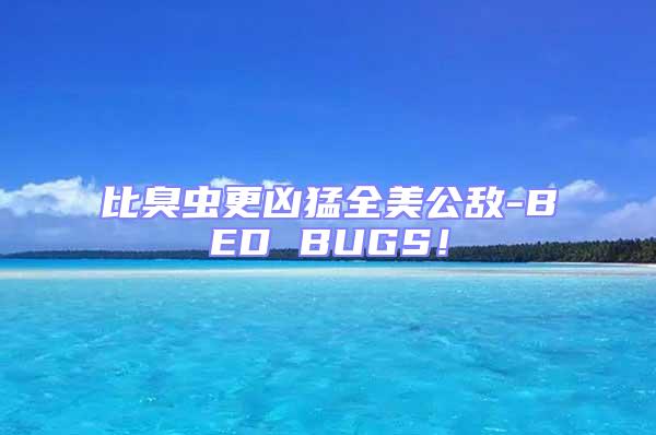 比臭蟲更兇猛全美公敵-BED BUGS！