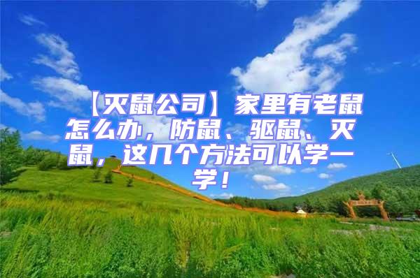 【滅鼠公司】家里有老鼠怎么辦，防鼠、驅(qū)鼠、滅鼠，這幾個方法可以學(xué)一學(xué)！
