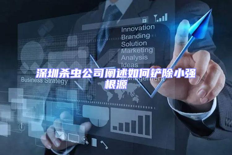 深圳殺蟲(chóng)公司闡述如何鏟除小強(qiáng)根源