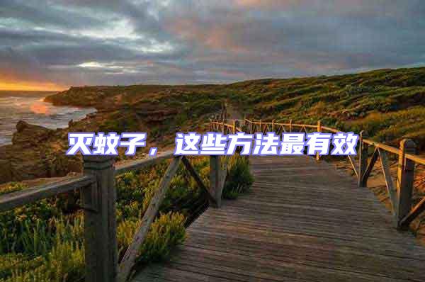 滅蚊子，這些方法最有效