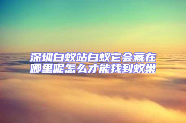 深圳白蟻站白蟻它會(huì)藏在哪里呢怎么才能找到蟻巢