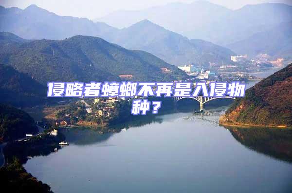 侵略者蟑螂不再是入侵物種？