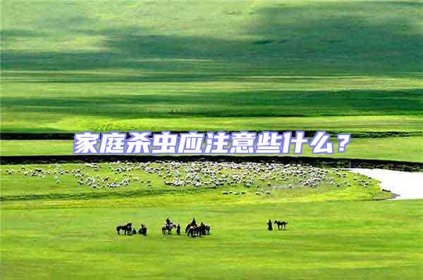 家庭殺蟲應(yīng)注意些什么？