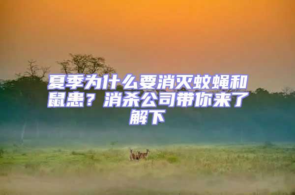 夏季為什么要消滅蚊蠅和鼠患？消殺公司帶你來(lái)了解下