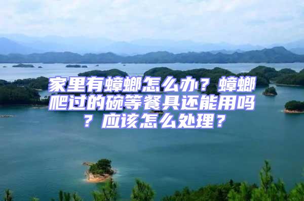 家里有蟑螂怎么辦？蟑螂爬過(guò)的碗等餐具還能用嗎？應(yīng)該怎么處理？