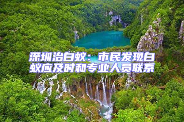深圳治白蟻：市民發(fā)現(xiàn)白蟻應(yīng)及時(shí)和專(zhuān)業(yè)人員聯(lián)系