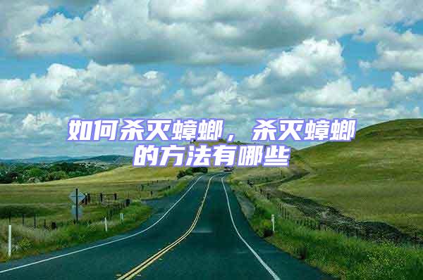 如何殺滅蟑螂，殺滅蟑螂的方法有哪些