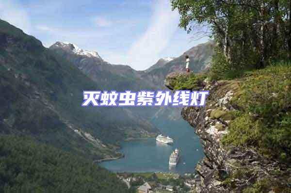 滅蚊蟲(chóng)紫外線燈