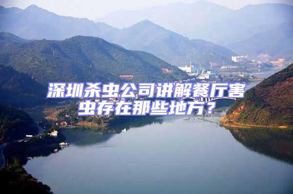 深圳殺蟲公司講解餐廳害蟲存在那些地方？