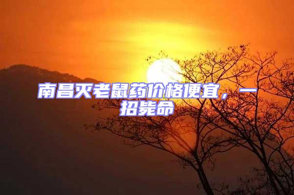 南昌滅老鼠藥價(jià)格便宜，一招斃命