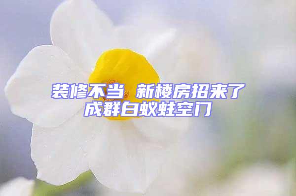 裝修不當(dāng) 新樓房招來了成群白蟻蛀空門
