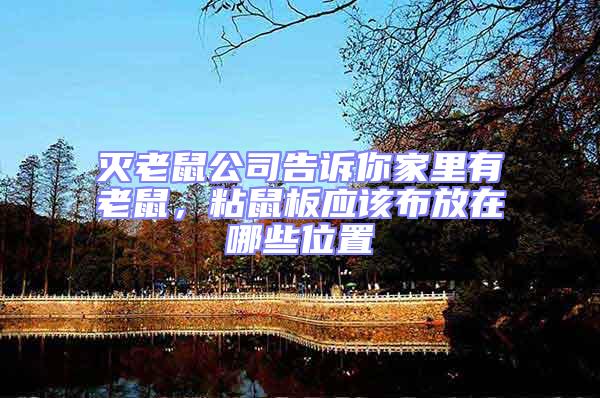 滅老鼠公司告訴你家里有老鼠，粘鼠板應(yīng)該布放在哪些位置