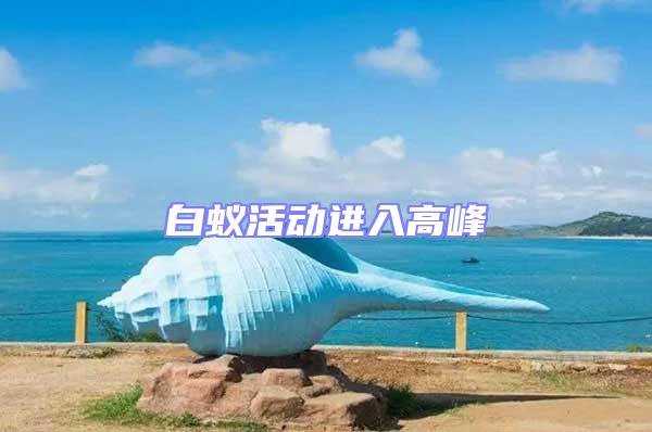 白蟻活動(dòng)進(jìn)入高峰