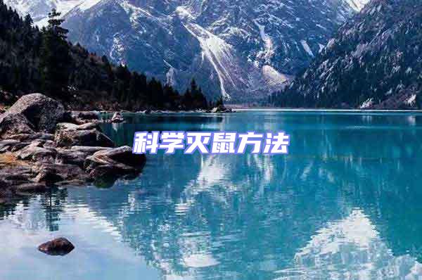 科學(xué)滅鼠方法