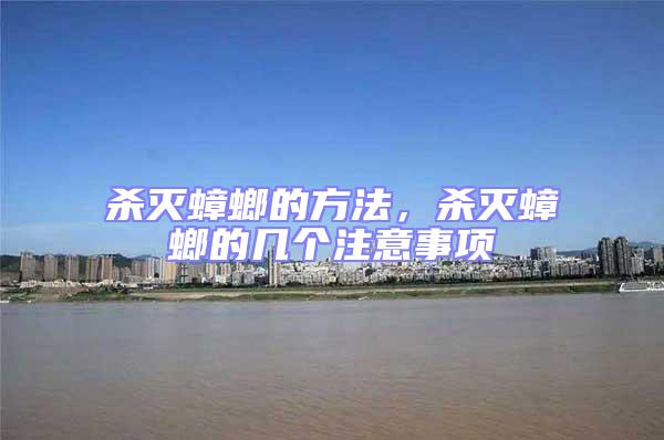 殺滅蟑螂的方法，殺滅蟑螂的幾個(gè)注意事項(xiàng)