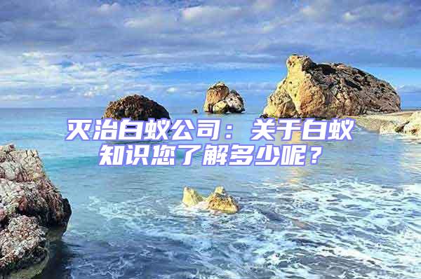 滅治白蟻公司：關于白蟻知識您了解多少呢？