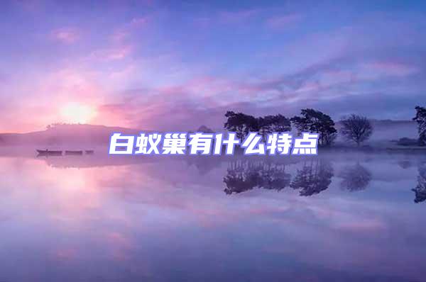白蟻巢有什么特點(diǎn)