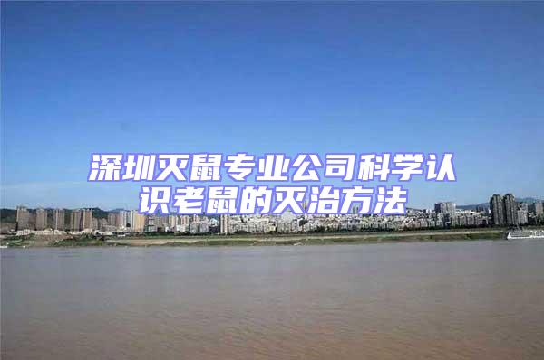 深圳滅鼠專業(yè)公司科學(xué)認(rèn)識老鼠的滅治方法