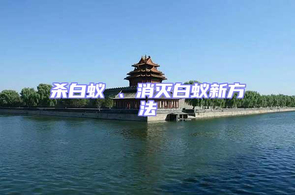 殺白蟻 、消滅白蟻新方法