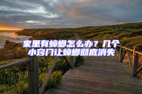 家里有蟑螂怎么辦？幾個(gè)小竅門讓蟑螂徹底消失