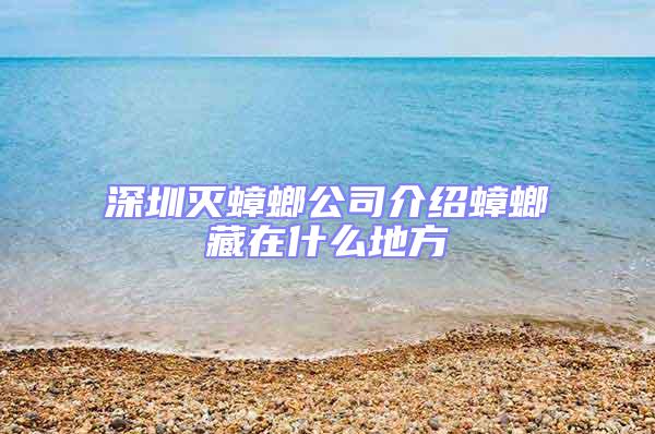 深圳滅蟑螂公司介紹蟑螂藏在什么地方