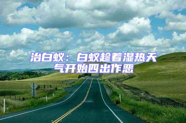 治白蟻：白蟻趁著濕熱天氣開(kāi)始四出作惡