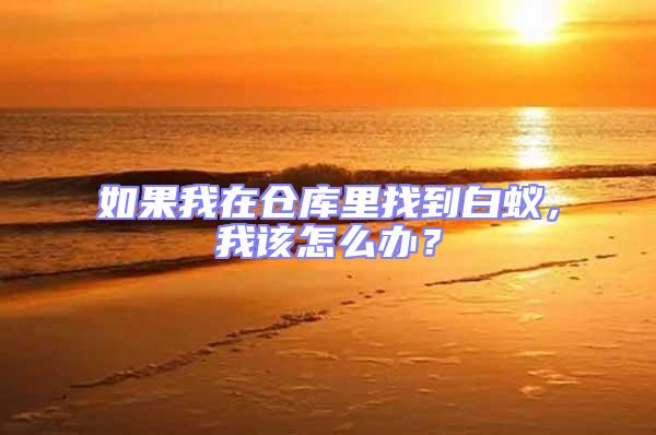 如果我在倉(cāng)庫(kù)里找到白蟻，我該怎么辦？