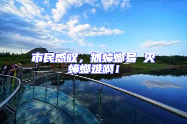 市民感嘆，抓蟑螂易 滅蟑螂難??！