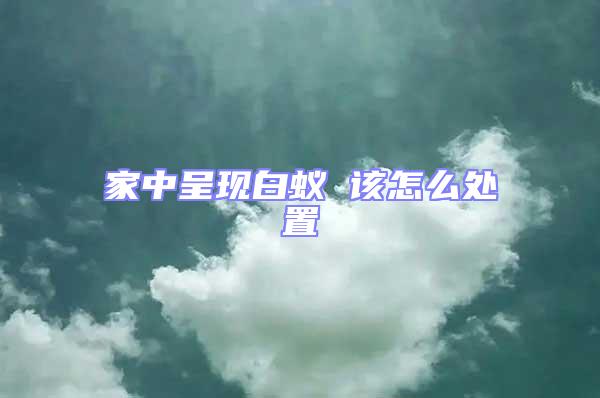 家中呈現(xiàn)白蟻 該怎么處置