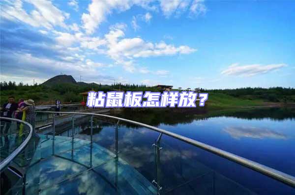 粘鼠板怎樣放？