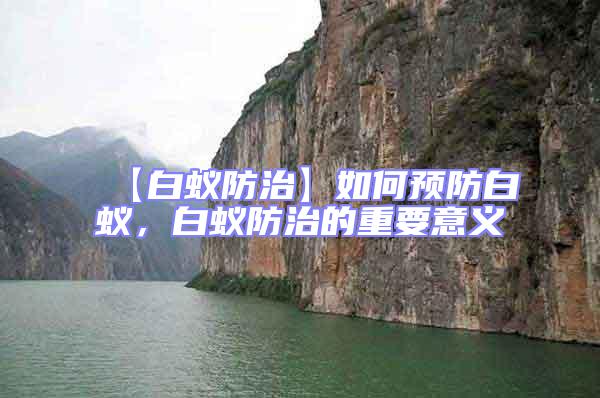 【白蟻防治】如何預(yù)防白蟻，白蟻防治的重要意義