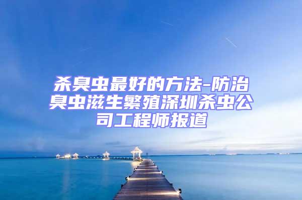 殺臭蟲(chóng)最好的方法-防治臭蟲(chóng)滋生繁殖深圳殺蟲(chóng)公司工程師報(bào)道