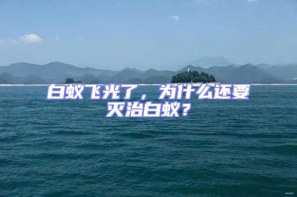 白蟻飛光了，為什么還要滅治白蟻？