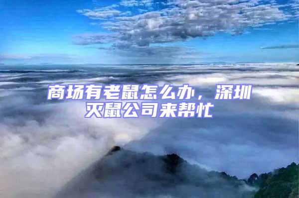 商場有老鼠怎么辦，深圳滅鼠公司來幫忙