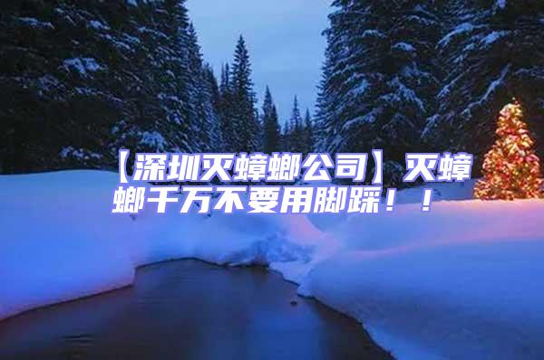 【深圳滅蟑螂公司】滅蟑螂千萬不要用腳踩！！